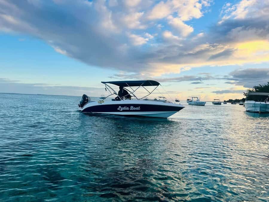 Le Morne: Private Boat Tour Dolphin-Watching & swimming - Key points before you go