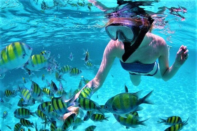 Luxury All-Inclusive Catamaran Cruise to Ile aux Cerfs and GRSE Waterfall - Stop 2: Ile aux Cerfs Island Time for Sand, Swimming, and Optional Thrills