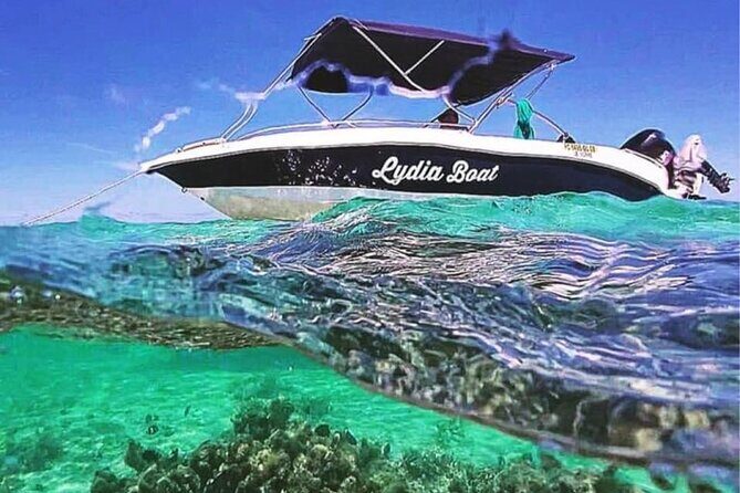 Lydia Boat Mauritius :Private boat tour:Whales&Dolphins encounter - Key highlights you’ll actually care about