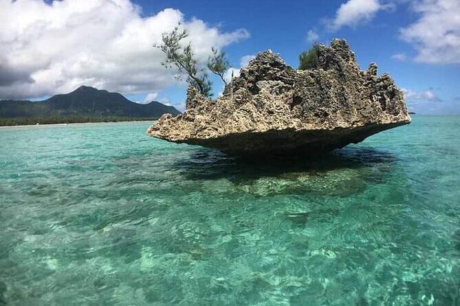 Lydia Boat Mauritius :Private boat tour:Whales&Dolphins encounter - Oysters and sea urchins: the seafood course starts before lunch