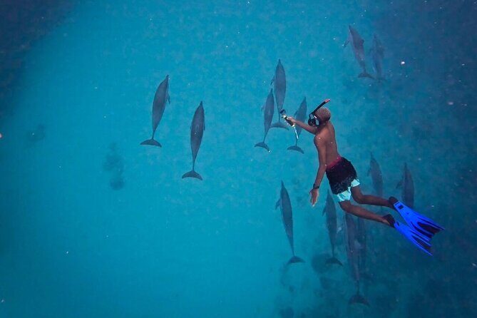 Lydia Boat Mauritius :Private boat tour:Whales&Dolphins encounter - Music, drinks, and downtime on the sea