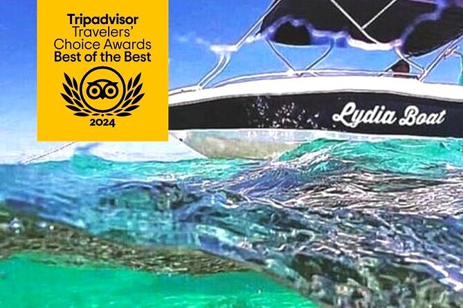 Lydia Boat Mauritius :Private boat tour:Whales&Dolphins encounter - The early dolphin encounter: why the 7:30-ish hours start fast