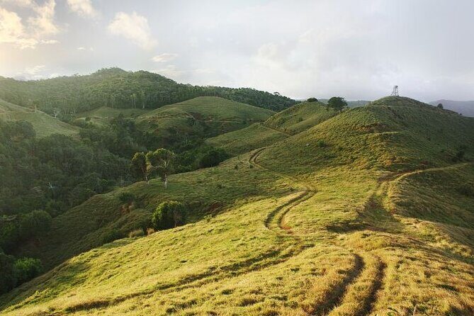 Mauritius: 2 Hours Buggy Ride - Bel Ombre Nature Reserve - Buggy Adventures in Bel Ombre: Why This Format Works