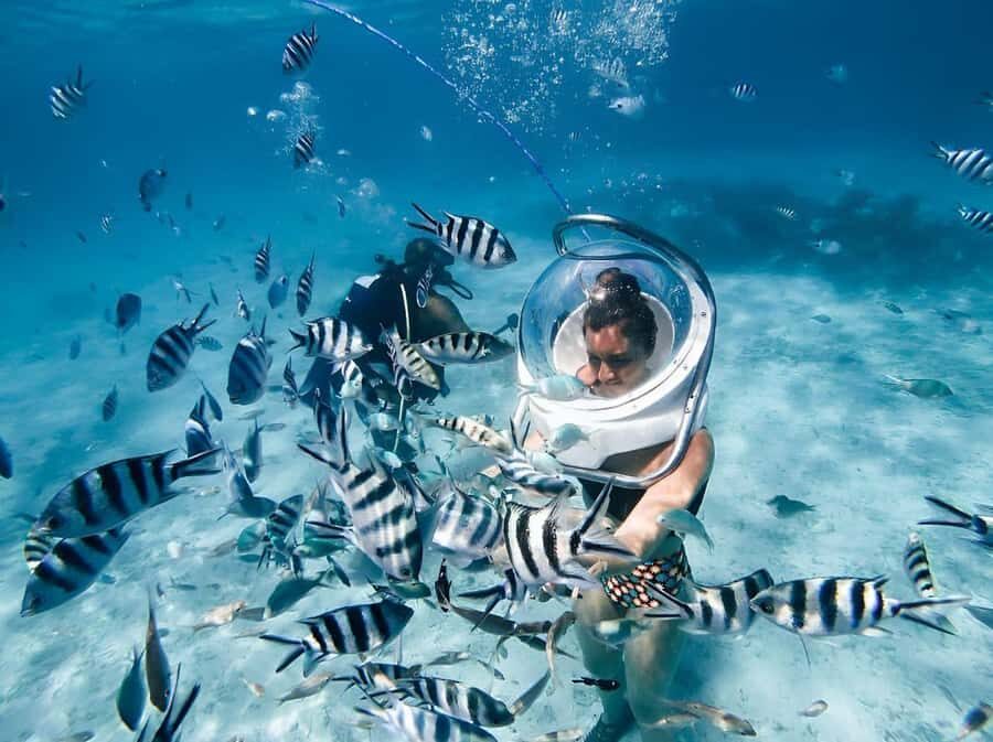 Mauritius: 3 Activities + Ile aux Cerfs Boat tour w/ BBQ - Belle Mare Lagoon: Parasailing, Undersea Walk, and Tube Ride