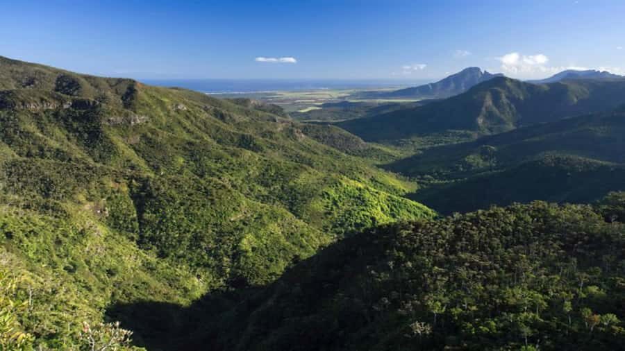 Mauritius: 3 Days Private Authentic Tour with hidden gems - Day 3 Southern Mauritius: Maconde viewpoints, Gris Gris cliffs, crocodiles, and Le Morne snorkeling