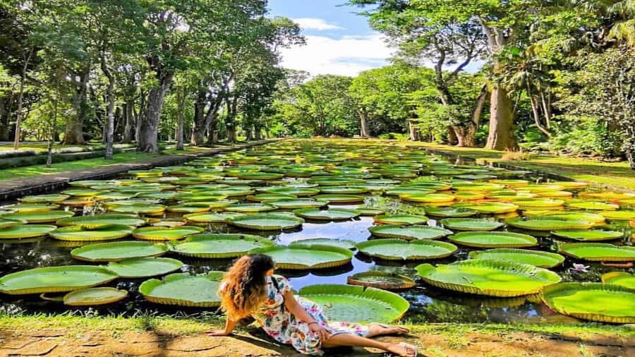 Mauritius: 3 Days Private Authentic Tour with hidden gems - Price and logistics: is $380 for up to 4 people good value?