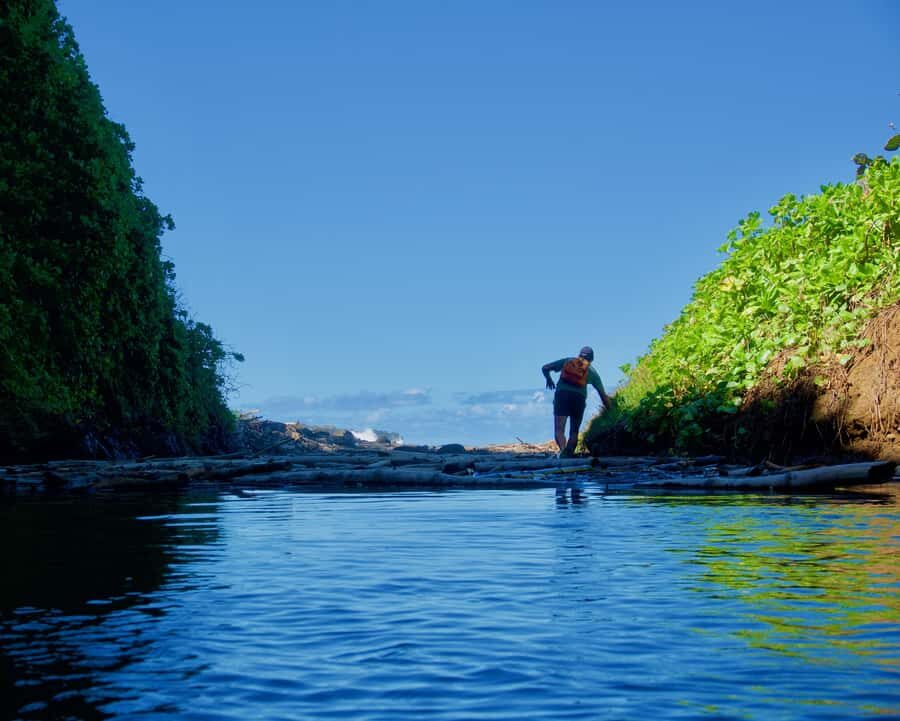Mauritius: 3-Hour Hiking the Wild South Excursion - Key highlights worth planning around