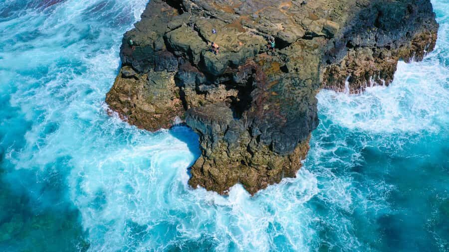 Mauritius: 3-Hour Hiking the Wild South Excursion - The rhythm of the hike: forest paths meet ocean scenery