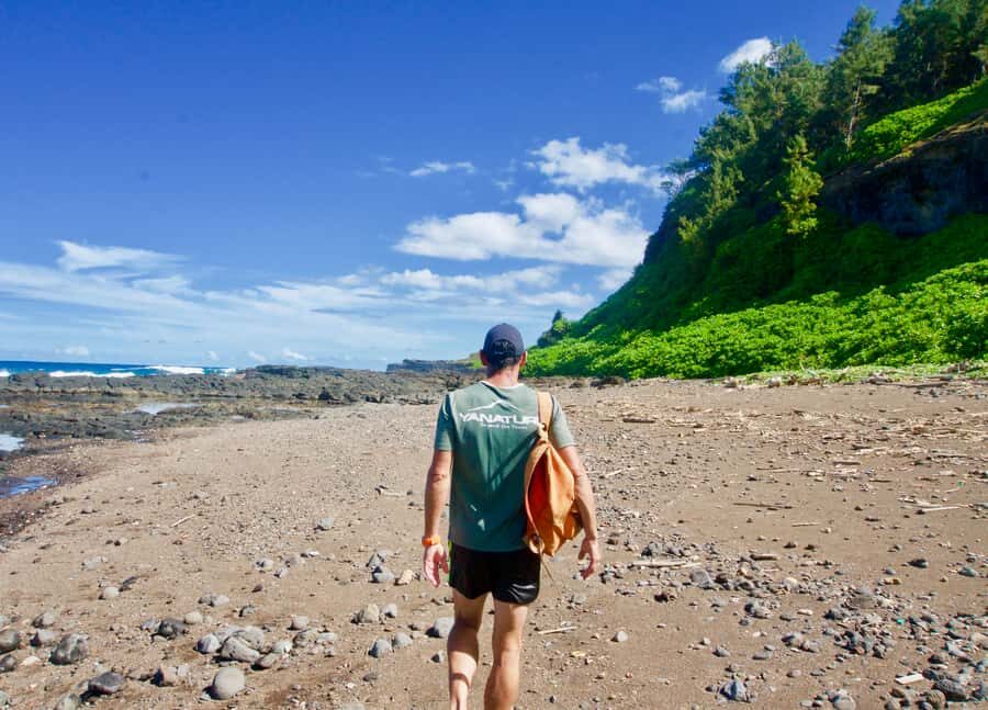 Mauritius: 3-Hour Hiking the Wild South Excursion - What the guide adds (and why it matters for a short tour)