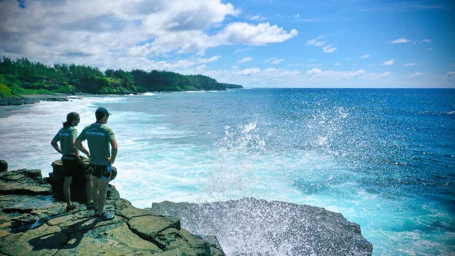Mauritius: 3-Hour Hiking the Wild South Excursion - Who should book this Mauritius wild south hike?