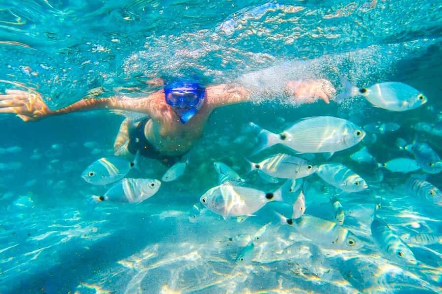 Mauritius: 5 East Coast Islands Tour with Snorkeling & Lunch - The Speedboat Reality: Fun, Fast, and Sometimes Choppy