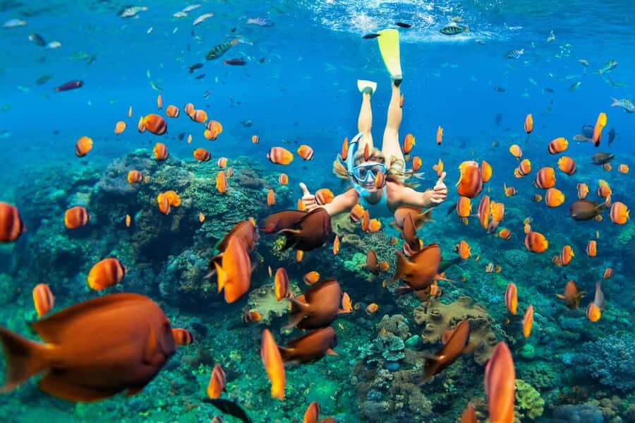Mauritius: 5 East Coast Islands Tour with Snorkeling & Lunch - How the Schedule Actually Feels (9 AM to 4 PM)