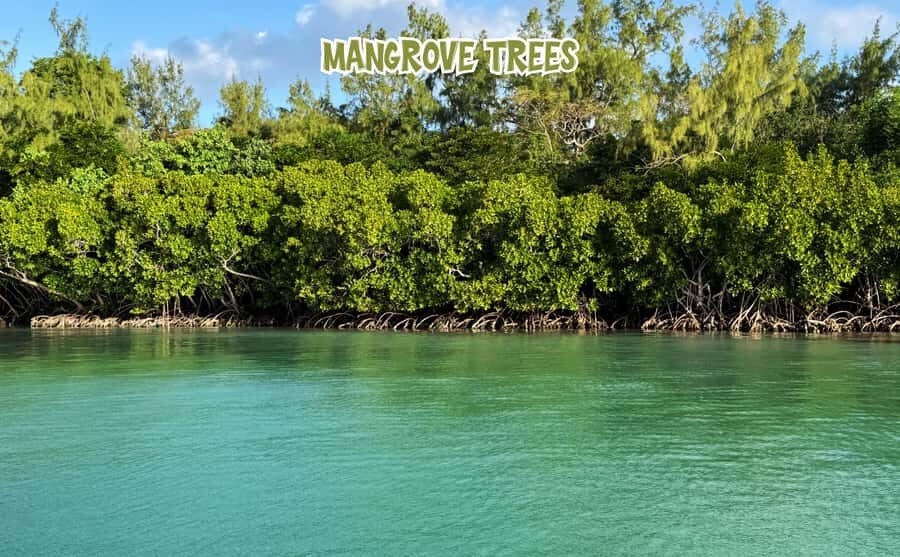 Mauritius: 5 Islands of the East Speedboat Tour with BBQ - Speedboat to Five Islands: why this East Coast route works