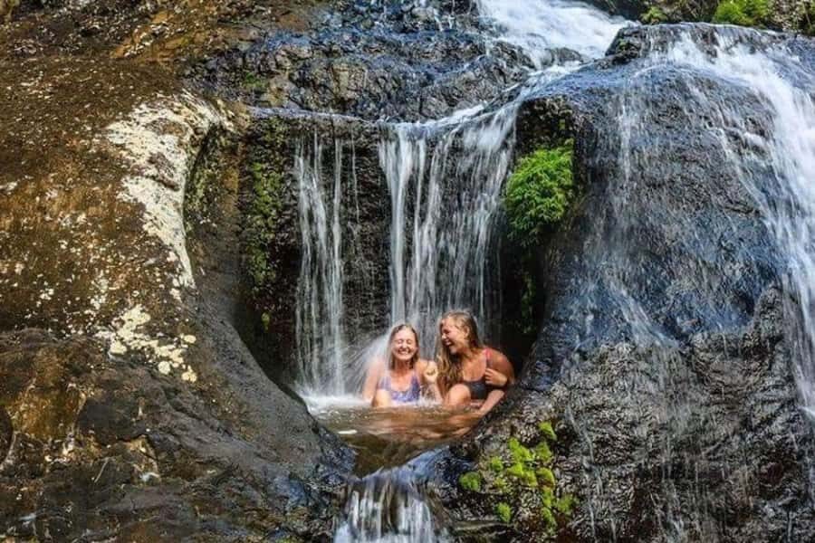 Mauritius: 7 Waterfalls Hike with Lunch and Hotel Transfers - The Hike Itself: Forest Steps, Basalt Scrambles, and Viewpoints