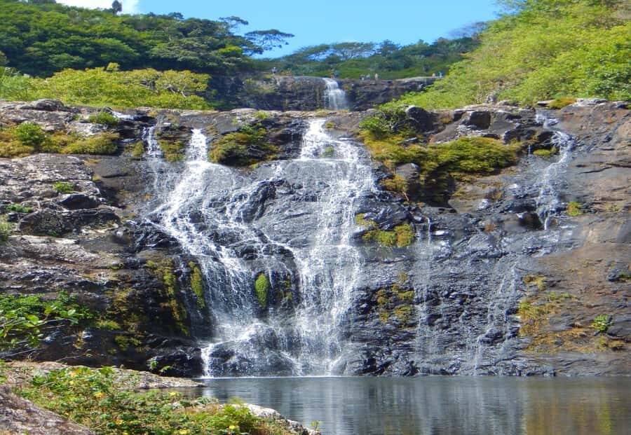Mauritius: 7 Waterfalls Hike with Lunch and Hotel Transfers - Lunch by the Waterfall: Picnic-Style Food and the Snack Reality