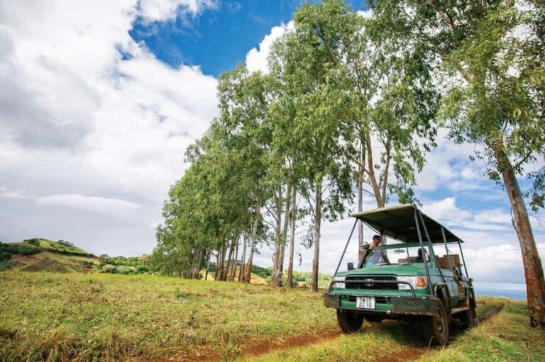 Mauritius: Bel Ombre Nature Reserve 4x4 Safari Adventure - Your ride: the 4x4 experience is part adventure, part reality check