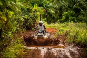 Mauritius: Bel Ombre Nature Reserve Quad Bike Tour - Quad bikes, safety, and what “small group” actually delivers