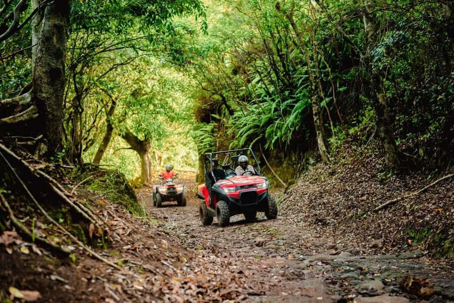 Mauritius: Bel Ombre Nature Reserve Quad Bike Tour - Riding speed, puddles, and mountain-trail variety