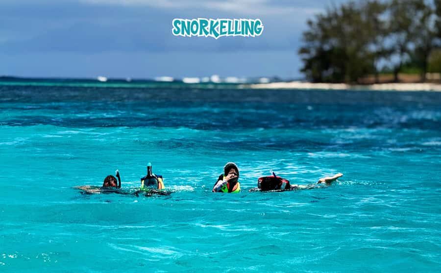 Mauritius: Benitier Island - Swim Dolphins - Speedboat & BBQ - Price-to-value check: where the $88 actually goes