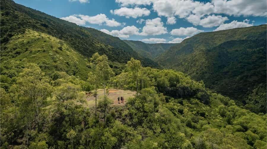 Mauritius: Black River Gorges National Park 3-Hour Hike - Key things I’d highlight before you go