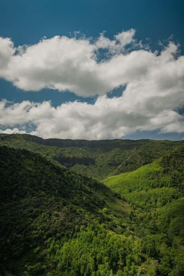 Mauritius: Black River Gorges National Park 3-Hour Hike - The guided rainforest walk: trails, wildlife clues, and steep-but-manageable moments