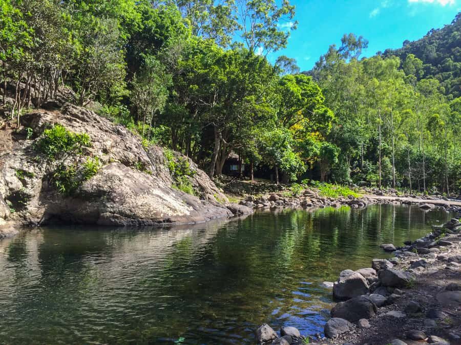 Mauritius: Black River Gorges National Park 3-Hour Hike - The river swim: a cool finish and a reason to pack smart