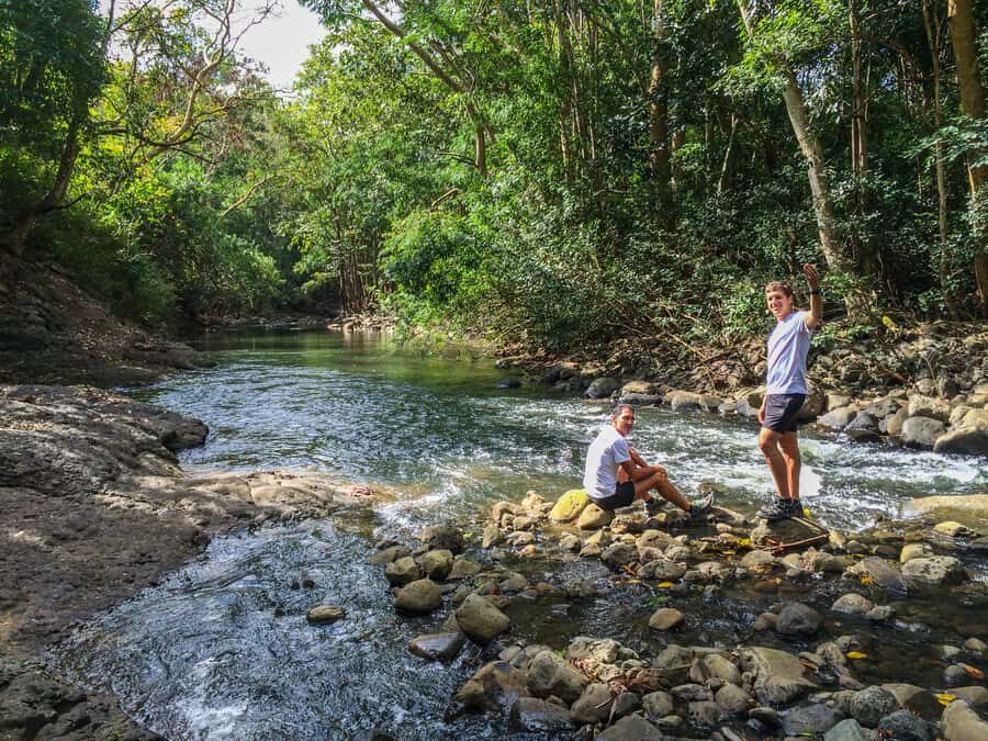 Mauritius: Black River Gorges National Park 3-Hour Hike - Price and logistics: is $64 good value?