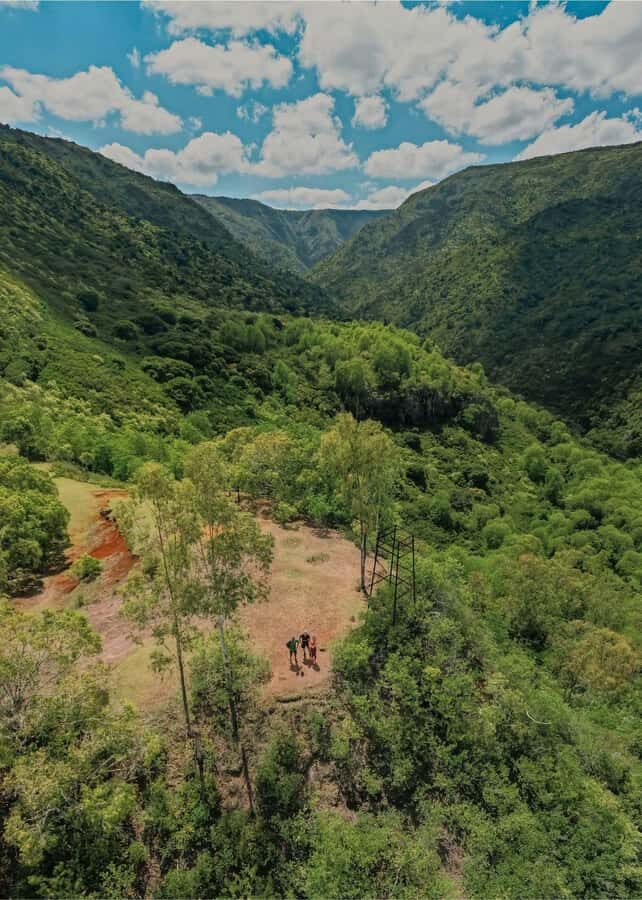 Mauritius: Black River Gorges National Park 3-Hour Hike - Practical tips: what to bring so the tour feels easy