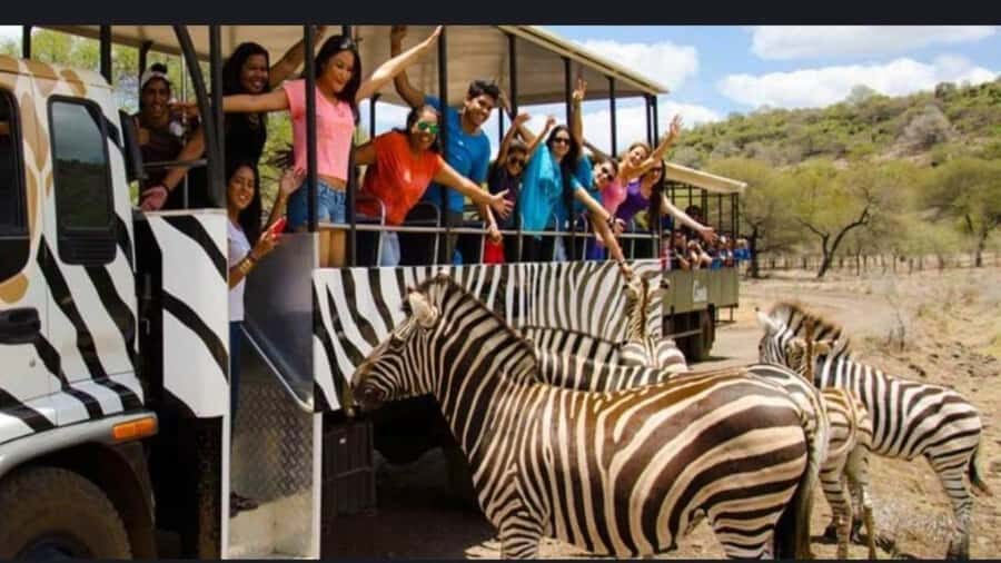 Mauritius: Casela nature parks & flic en flac beach - How the Casela-to-Flic-en-Flac day fits into 8 hours