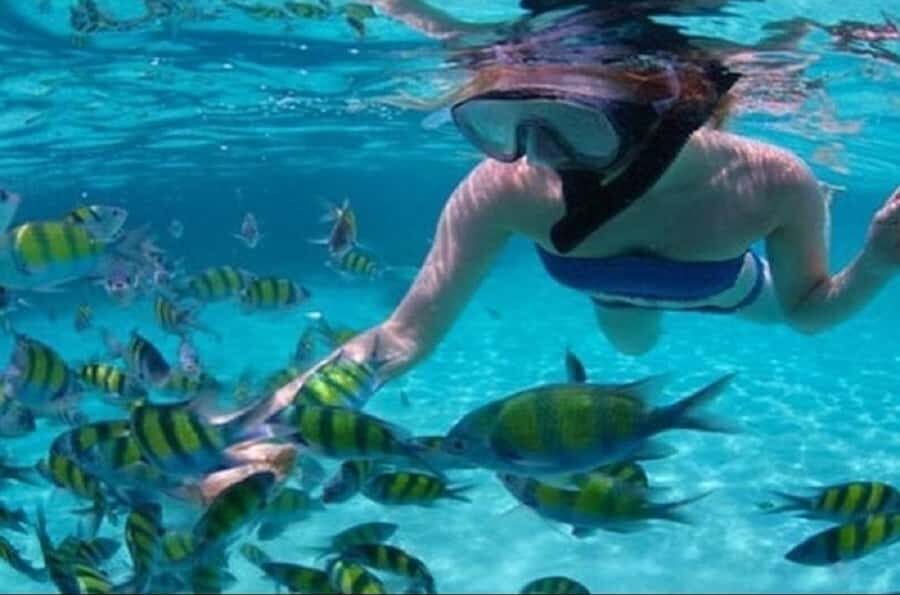 Mauritius: Catamaran cruise to 3 Northern Isles with lunch - Grand Bay catamaran day: the basic flow