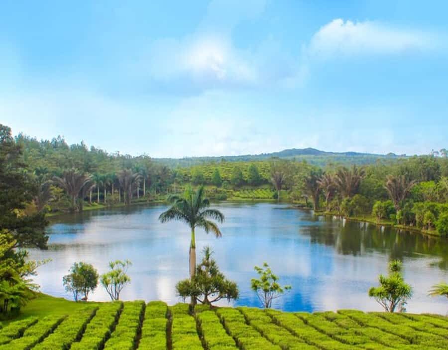 Mauritius: Customizable Private Tour by Car - Port Louis and Caudan Waterfront: easy wins for shopping and local life
