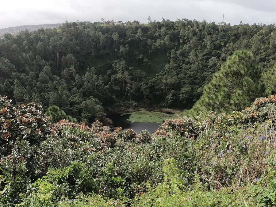 Mauritius: Dolphin Encounter, Trou aux Cerf and Grand Bassin - Swimming with wild dolphins off Black River: what the day feels like on the sea