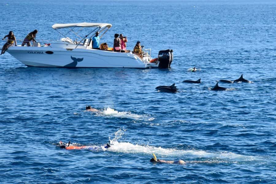 Mauritius: Dolphin Encounter, Trou aux Cerf and Grand Bassin - Trou aux Cerfs: dormant volcano crater views you can actually walk