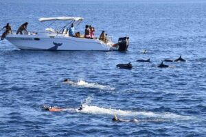 Mauritius : Dolphins Swim and Ile Aux Bénitiers with BBQ - Snorkeling the Black River reef: colorful fish, variable visibility