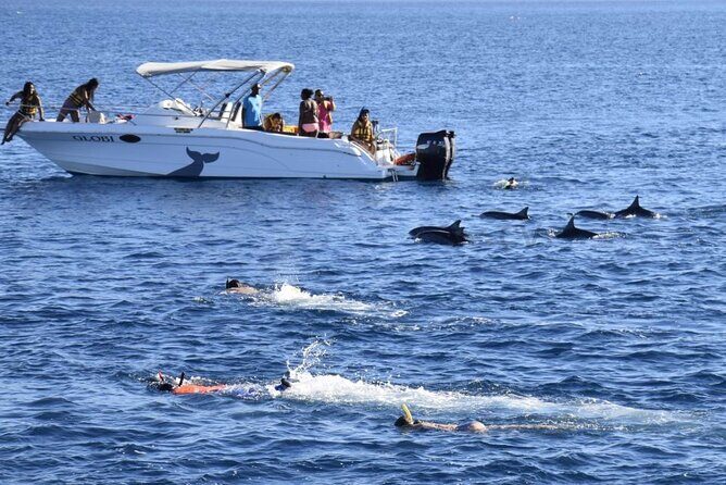 Mauritius : Dolphins Swim and Ile Aux Bénitiers with BBQ - Snorkeling the Black River reef: colorful fish, variable visibility
