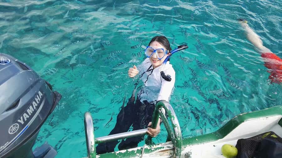 Mauritius: Dolphins watch half-day - Half-Day Dolphin Swim Schedule: early pickup, return by late morning