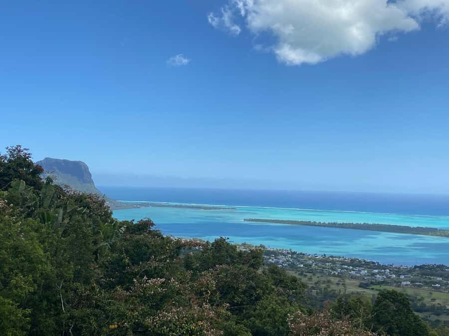 Mauritius: Dolphins watch half-day - Swimming with wild dolphins: how this open-water encounter feels