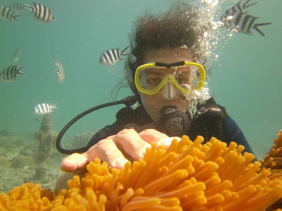 Mauritius: East Belle Mare Scuba Diving Tour - Key Things I’d Remember Before You Go