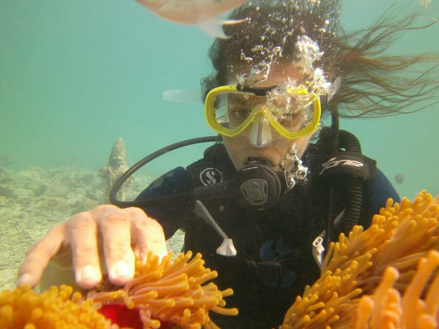 Mauritius: East Belle Mare Scuba Diving Tour - What the Day Looks Like, From Pickup to Certificate