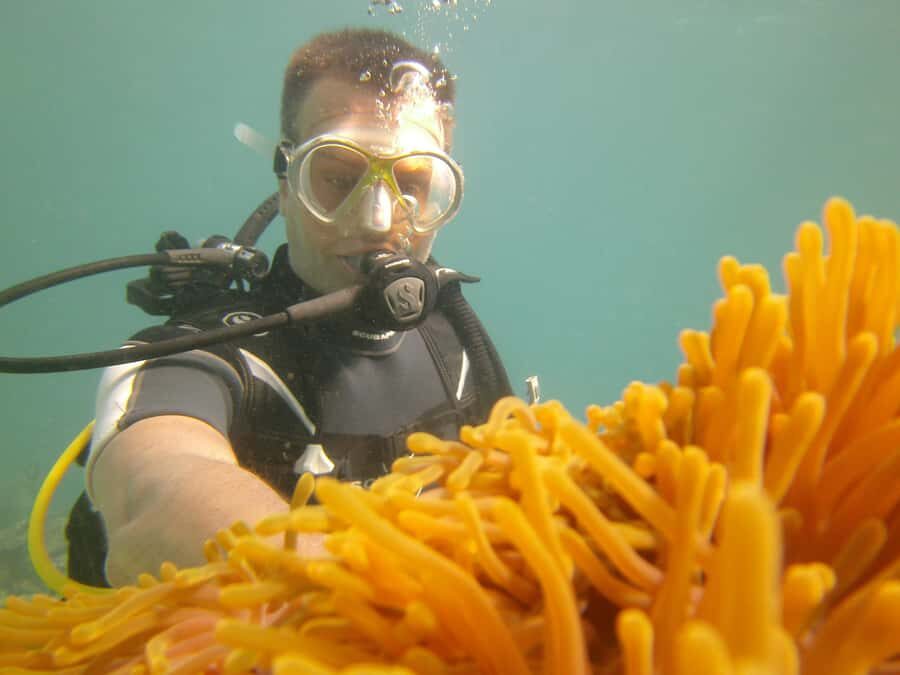 Mauritius: East Belle Mare Scuba Diving Tour - Price and Value: Is $158 Actually Fair for What You Get?