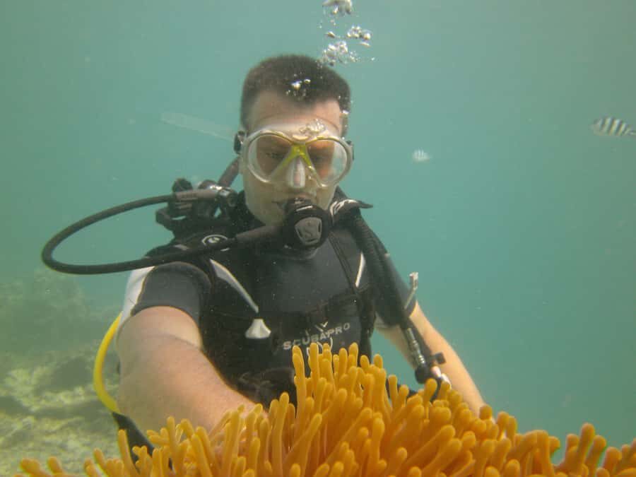 Mauritius: East Belle Mare Scuba Diving Tour - Logistics That Matter: Getting There, Staying Flexible, and Booking Options