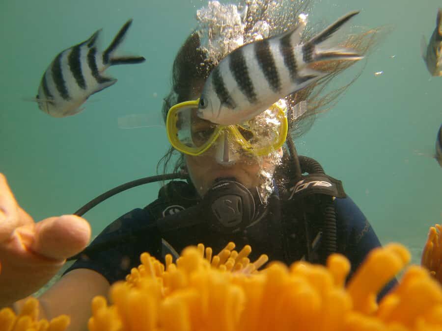 Mauritius: East Belle Mare Scuba Diving Tour - East vs West Coast Choice: When to Pick One Side of Mauritius