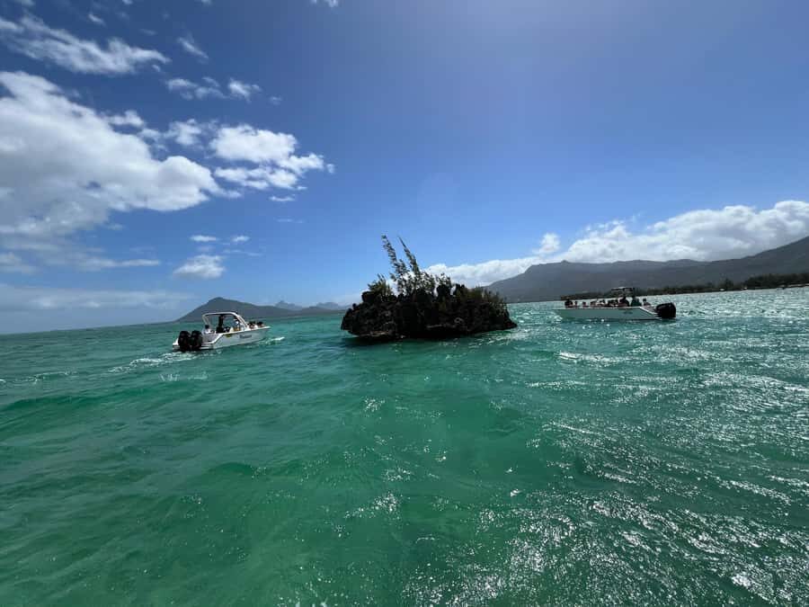 Mauritius Eco Whales Quest, 3-4 hours Expedition - Value and price: is $223 a fair deal?