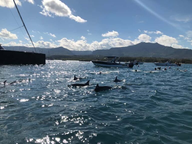 Mauritius Eco Whales Quest, 3-4 hours Expedition - Boat guide power: why the human touch matters at sea