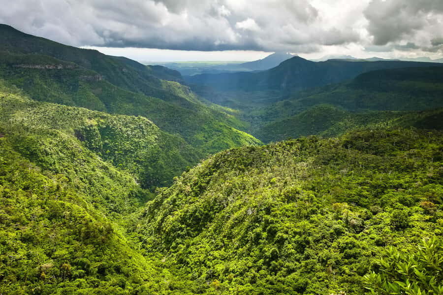 Mauritius: Exclusive South West Tour - The driver-guide makes the difference on this route