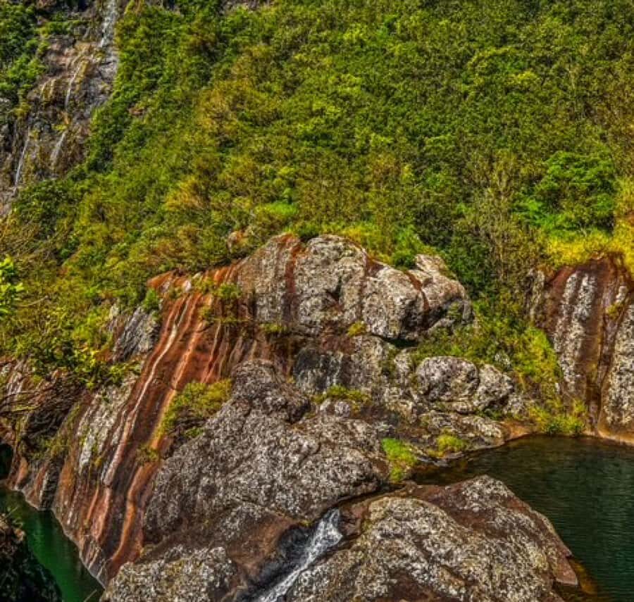 Mauritius: Full Canyon Tamarind Falls 5-Hour Hike - Key Highlights Worth Knowing