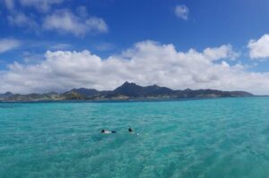 Mauritius : Full day All inclusive Ile aux cerfs Catamaran cruise - GRSE Waterfall Stop: How the Day Handles Mud, Lines, and Time