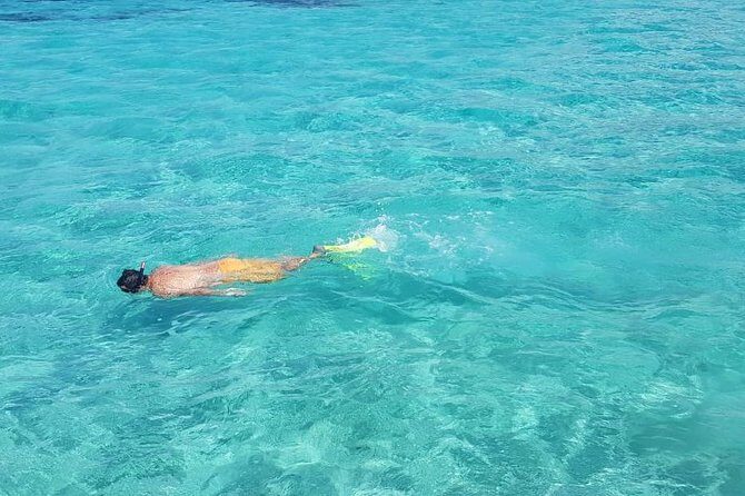 Mauritius : Full day All inclusive Ile aux cerfs Catamaran cruise - Price and Value: Why Around $139 Can Make Sense