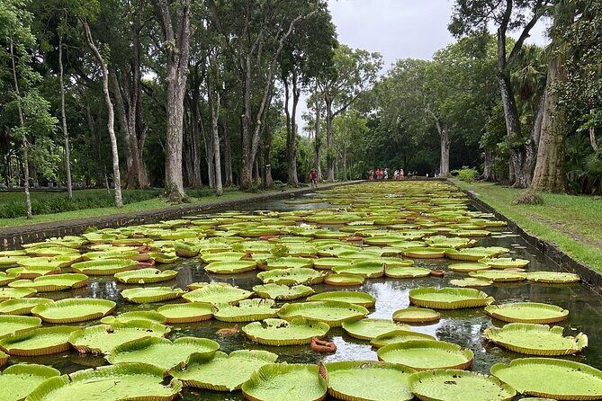 Mauritius full day : Private north tour - Key highlights that make this north tour worth your day