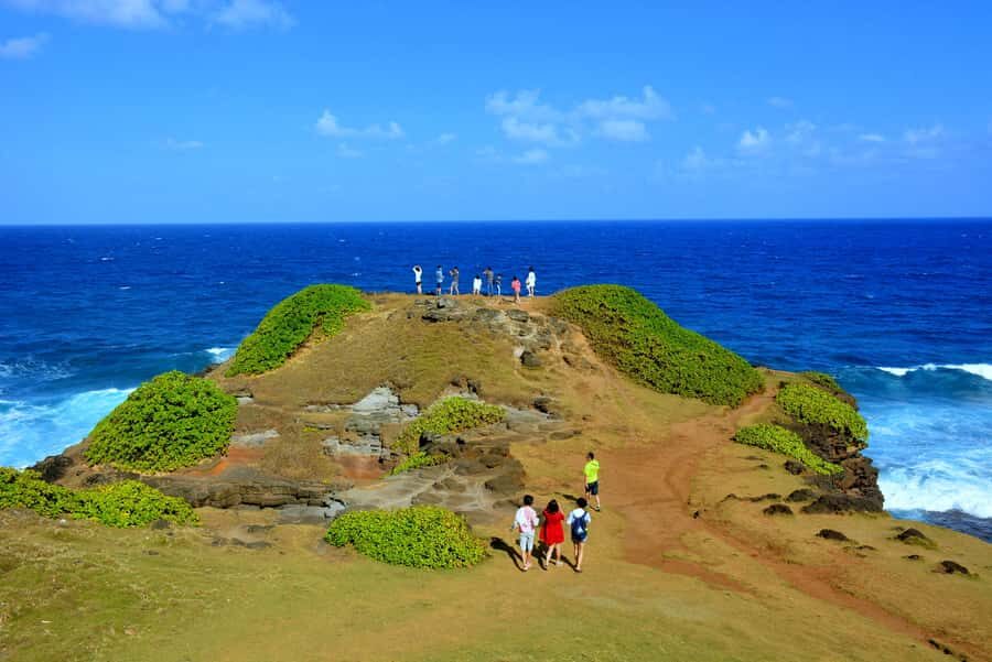 Mauritius: Full-Day Quad Bike Tour with Lunch - La Vanille Nature Park (Crocodile Park): lunch plus wildlife